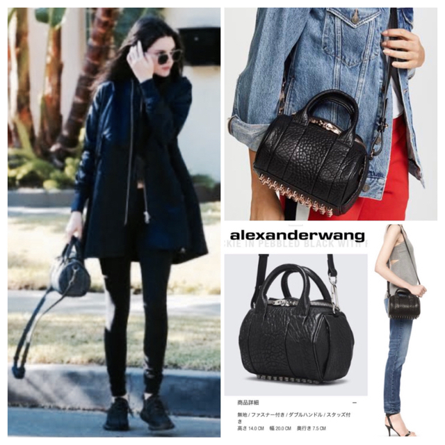 美品　ALEXANDER WANG アレキサンダーワン ミニロッキーPGスタッズ