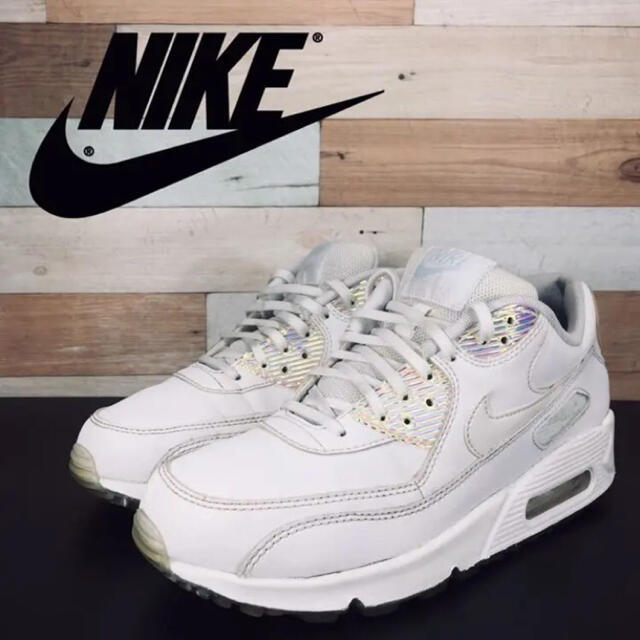 NIKE AIR MAX 90 PREMIUM 24.5cm-