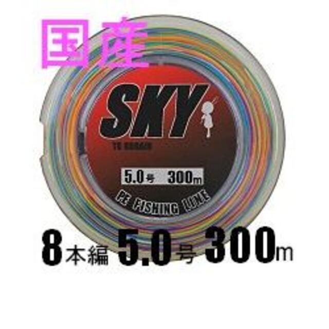 PEライン８本編　#6.0 Φ0.40mm 100ｍ (10m毎計5色）