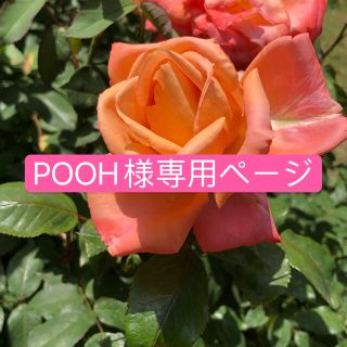 POOH様専用ページ(Tシャツ/カットソー)