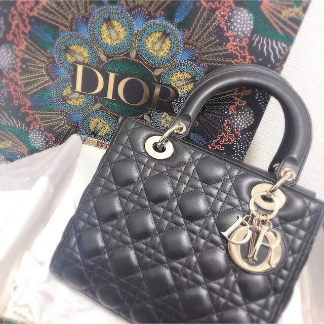 Dior(ディオール)のdior  レディースのバッグ(ハンドバッグ)の商品写真
