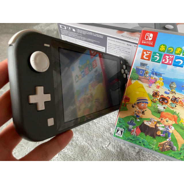 Nintendo Switch(ニンテンドースイッチ)のNintendo Switch Liteグレー エンタメ/ホビーのゲームソフト/ゲーム機本体(家庭用ゲーム機本体)の商品写真