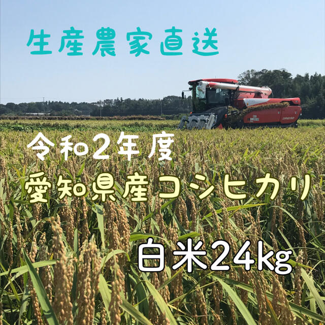 愛知県産コシヒカリ 白米24㎏ - 米/穀物 新米愛知県産コシヒカリ 20㎏(白米18㎏)