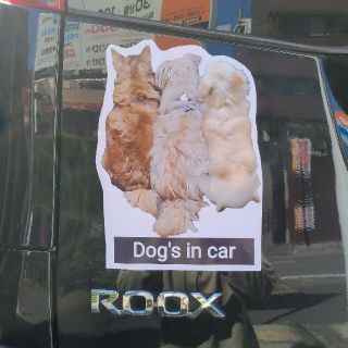 世界でひとつだけのDOG IN CAR(車外アクセサリ)