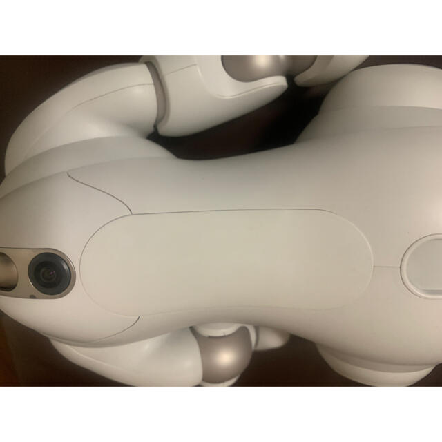 SONY - SONY 新型アイボ AIBO ERS-1000 故障、修理歴なし美品の通販 by guppy's shop｜ソニーならラクマ