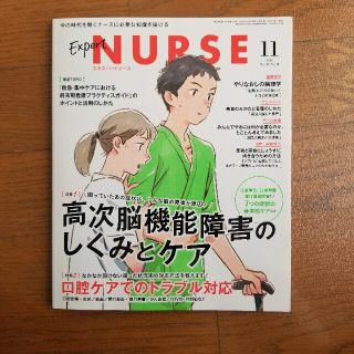 Expert Nurse (エキスパートナース) 2020年 11月号(専門誌)