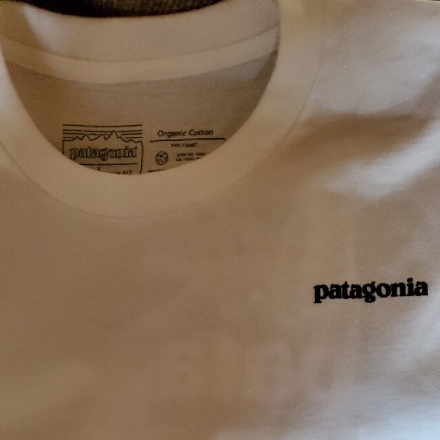 patagonia(パタゴニア)のPatagonia ロングスリーブシャツ メンズのトップス(Tシャツ/カットソー(七分/長袖))の商品写真