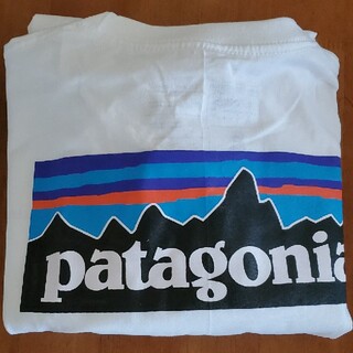 パタゴニア(patagonia)のPatagonia ロングスリーブシャツ(Tシャツ/カットソー(七分/長袖))