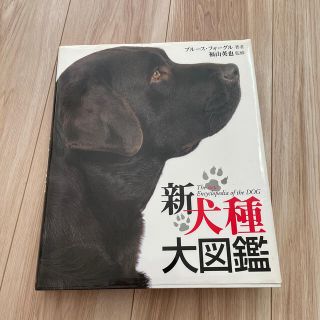 新犬種大図鑑(住まい/暮らし/子育て)