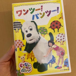 NHKDVD　いないいないばあっ！　ワンツー！パンツー！ DVD(キッズ/ファミリー)