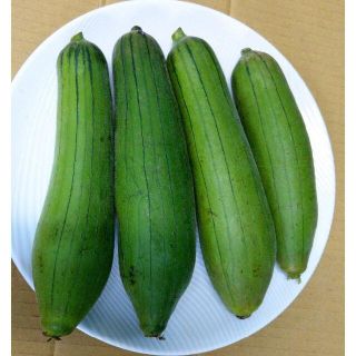 沖縄本島特産品専門 フリマアプリ ラクマ 沖縄本島特産品専門 フリマアプリ ラクマ