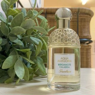 ゲラン(GUERLAIN)の《変色・香りの劣化なし》早い者勝ち♪ ゲラン アクアアレゴリアベルガモット(その他)