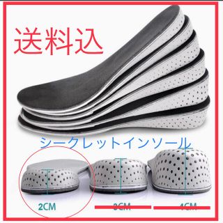 ★シークレットインソール　2cm厚み(その他)