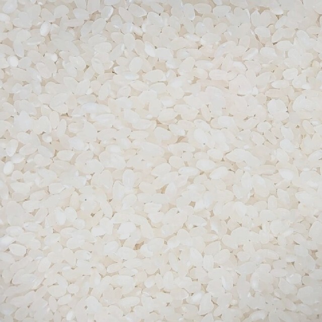 お米 特A地域産 一等米 30kg(5kg×6袋) 精米済 白米 食品/飲料/酒の食品(米/穀物)の商品写真