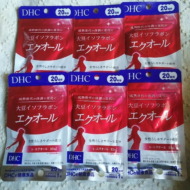 日本最大のブランド DHC 6袋set エクオール DHC - その他