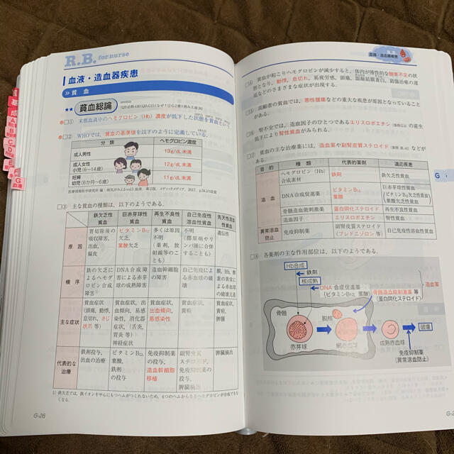 看護師・看護学生のためのレビューブック ２０２１ 第２２版 エンタメ/ホビーの本(資格/検定)の商品写真