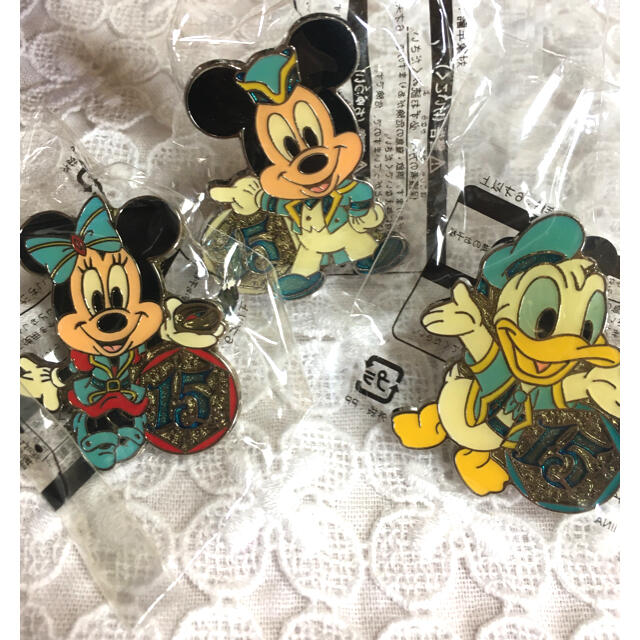 ディズニーランド 15周年 額入り ピンバッジ - バッジ ディズニーランド 15周年 額入り ピンバッジ - バッジ
