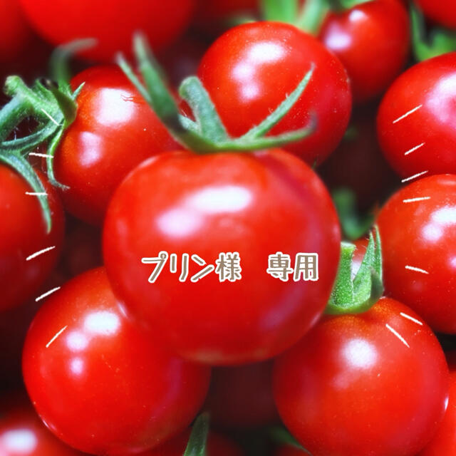 プチトマト様 専用ページ