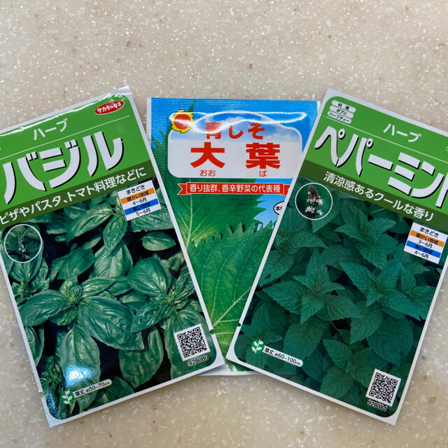 【プランター栽培】大葉100粒、バジル30粒以上、ペパーミント 30粒以上。 ハンドメイドのフラワー/ガーデン(その他)の商品写真