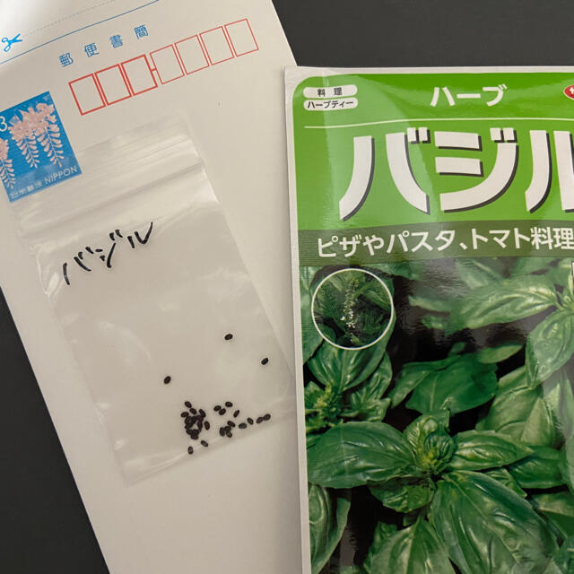 【プランター栽培】大葉100粒、バジル30粒以上、ペパーミント 30粒以上。 ハンドメイドのフラワー/ガーデン(その他)の商品写真