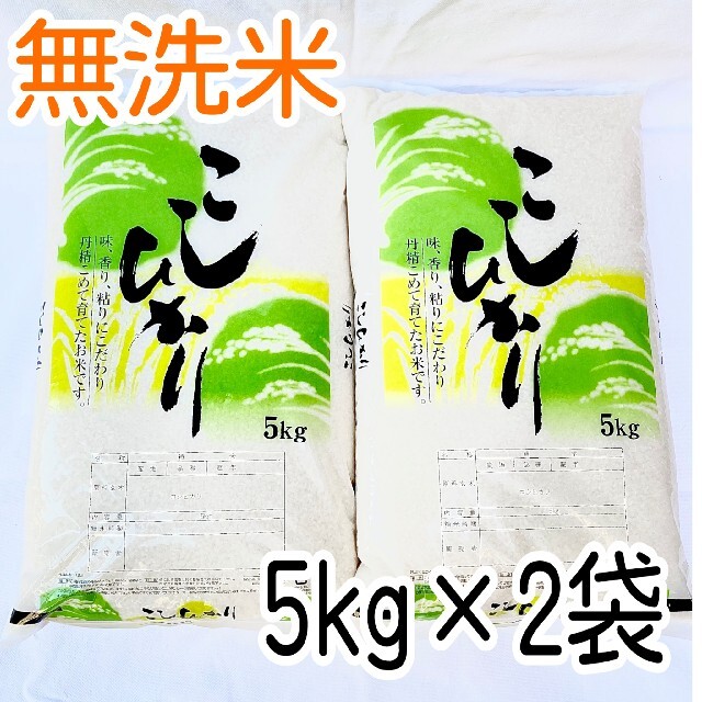 無洗米 令和2年度 埼玉県産 新米コシヒカリ 白米10kg 精米料込み