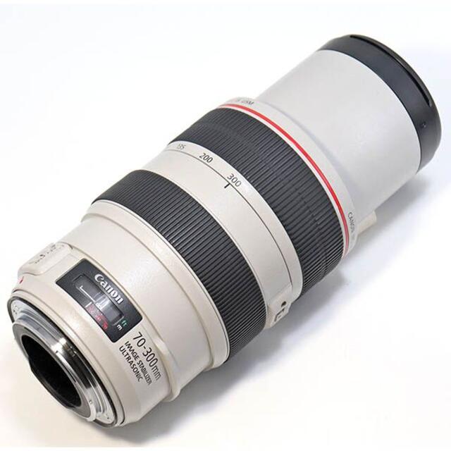 Canon EF70-300mm F4-5.6L IS USM 3