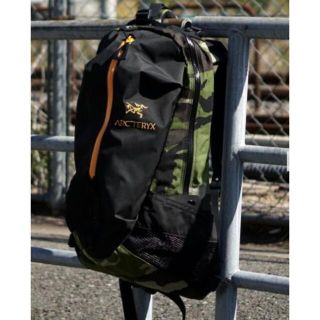 アークテリクス(ARC'TERYX)のアークテリクス × BEAMS / 別注 ARRO 22(バッグパック/リュック)