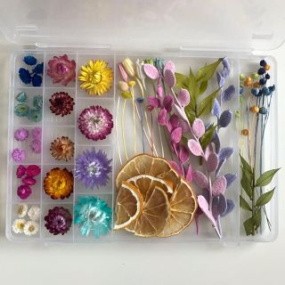 7ページ目 フラワー ガーデン ピンク 桃色系 の通販 30 000点以上 ハンドメイド お得な新品 中古 未使用品のフリマならラクマ 7ページ目 フラワー ガーデン ピンク 桃色系 の通販 30 000点以上 ハンドメイド お得な新品 中古 未使用品のフリマならラクマ
