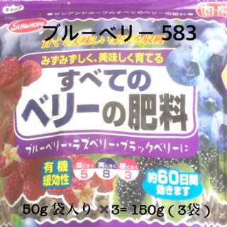 ブルーベリー 583    50g 袋入り ✖️3= 150g ( 3袋 )(その他)