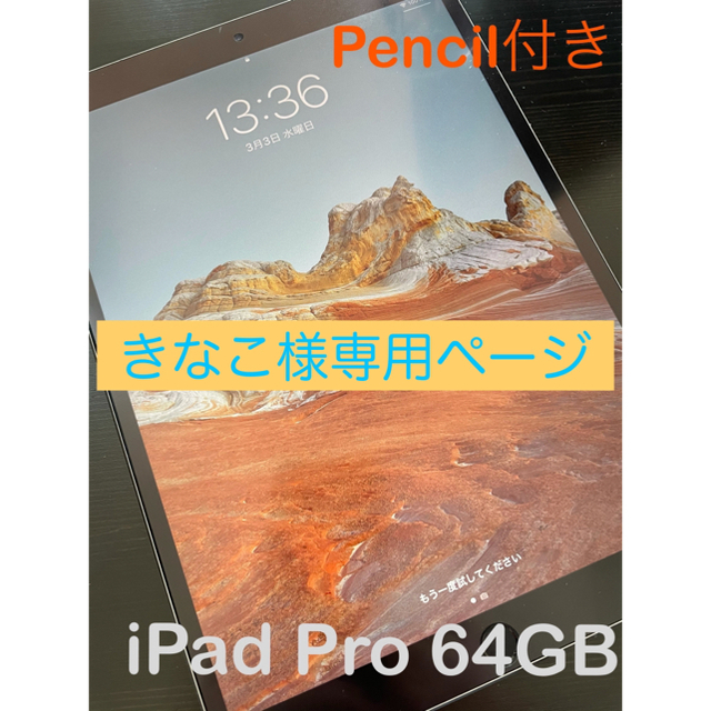 iPad Pro 64G セルラーモデル スペースグレー Pencil付きPC/タブレット