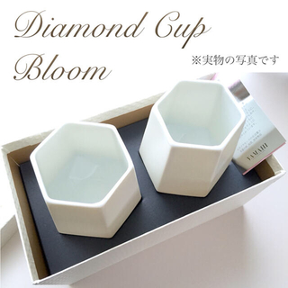 ブルーム(BLOOM)の新品箱付き◆ダイヤモンドカップ ペアグラス 白 美濃焼 (グラス/カップ)