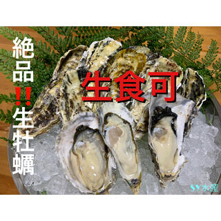 数量限定　生牡蠣　カキ　9キロ　伊万里湾産　送料無料(魚介)