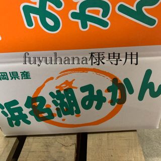 静岡県浜松産　寿太郎みかん　訳ありミカン　１０キロ(フルーツ)
