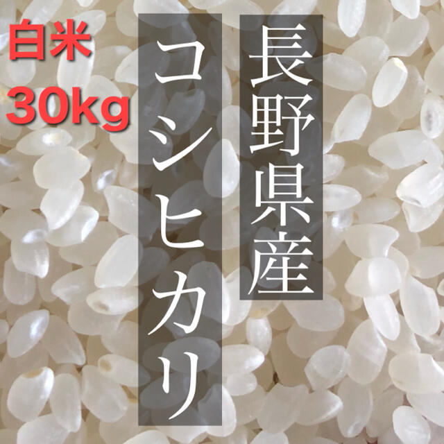 食品/飲料/酒【令和2年度】新米　白米30kg （5kg×6）長野県産　コシヒカリ　お米