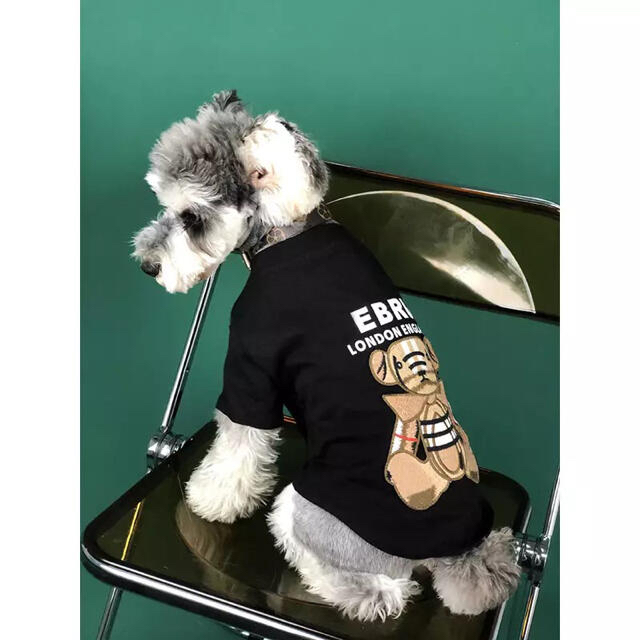 犬服　クマさんTシャツ　ブラック　Mサイズ2枚セット その他のペット用品(犬)の商品写真