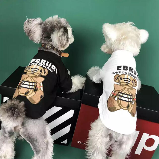 犬服　クマさんTシャツ　ブラック　Mサイズ2枚セット その他のペット用品(犬)の商品写真