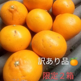 せとか（有田産）訳あり品　限定２箱!(フルーツ)