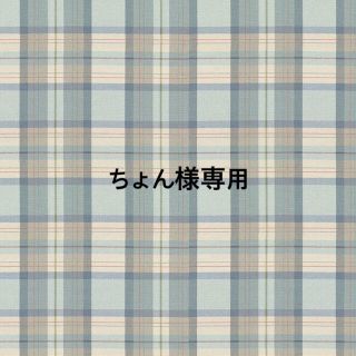 セブンティーン(SEVENTEEN)のちょん様専用(アイドルグッズ)