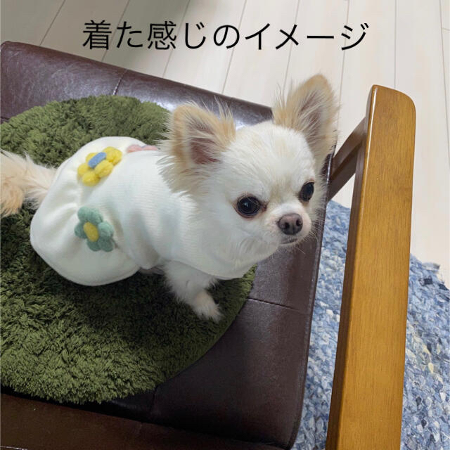 犬の洋服 その他のペット用品(犬)の商品写真