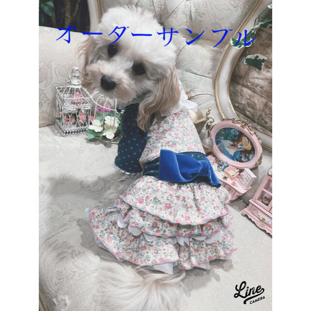 B122、pon2pan2☆オーダー犬服☆お花フリフリワンピ