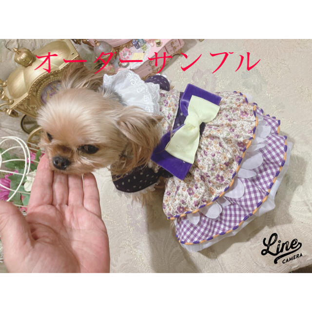 B123、pon2pan2☆オーダー犬服☆お花フリフリワンピ