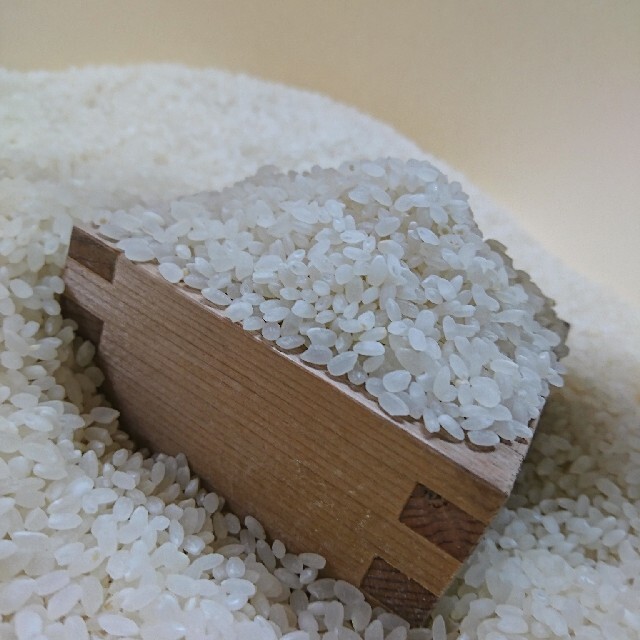 新米 令和2年度 兵庫県産 ヒノヒカリ 無農薬 30キロ 玄米 米 残りわずか！食品
