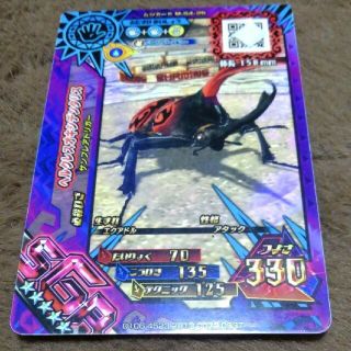 エクルベージュ 【値下げ7/25まで】ヘルクレスオキシデンタリス SGR