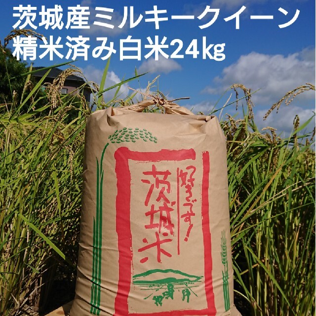 茨城令和2年産ミルキークイーン精米済み白米24㎏-