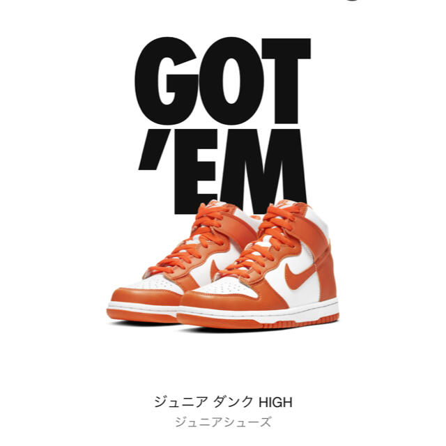 NIKE 商品NIKE DUNK HIGH Orange Blaze  22.5