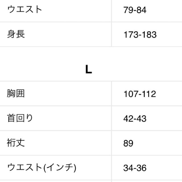 patagonia(パタゴニア)のパタゴニア　ロンT Lサイズ メンズのトップス(Tシャツ/カットソー(七分/長袖))の商品写真