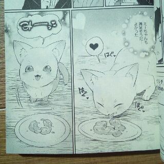 神猫ミーちゃんと猫用品召喚師の異世界奮闘記 2巻 神猫ミーちゃんと猫用品召喚師の異世界奮闘記 2巻