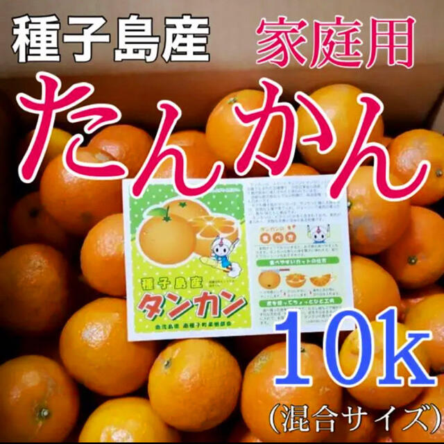 【お客様専用】新鮮✨種子島産タンカン【家庭用】10キロ箱満杯詰め‼︎ 食品/飲料/酒の食品(フルーツ)の商品写真