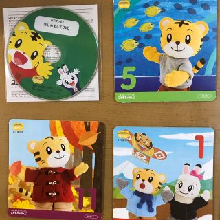 こどもちゃれんじ　ぽけっとDVD(キッズ/ファミリー)