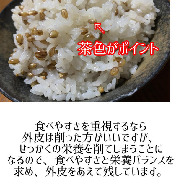 【栄養満点】福岡県産紫 もち麦2kg 食品/飲料/酒の食品(米/穀物)の商品写真